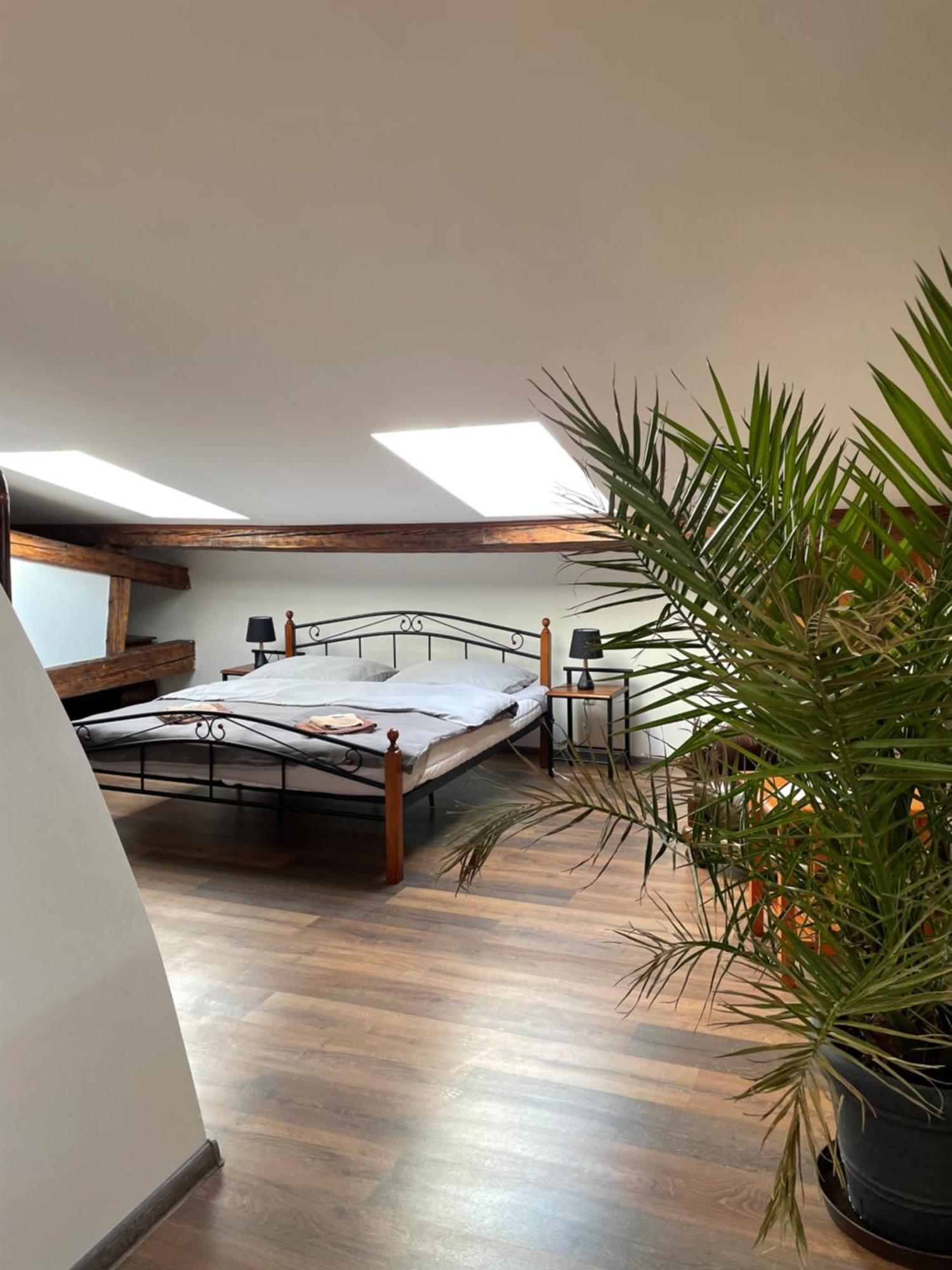Studia Maxim Apartment *